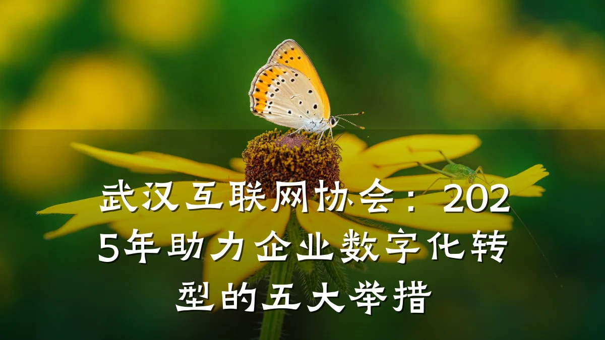 武汉互联网协会：2025年助力企业数字化转型的五大举措
