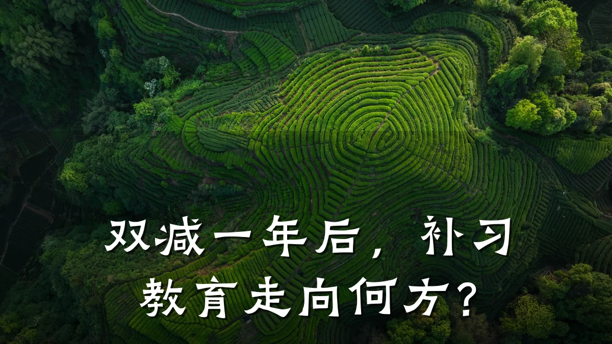 双减一年后，补习教育走向何方？