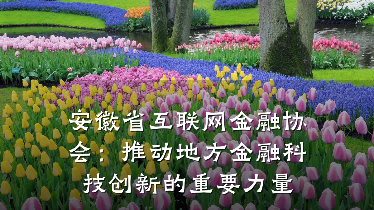 安徽省互联网金融协会:推动地方金融科技创新的重要力量