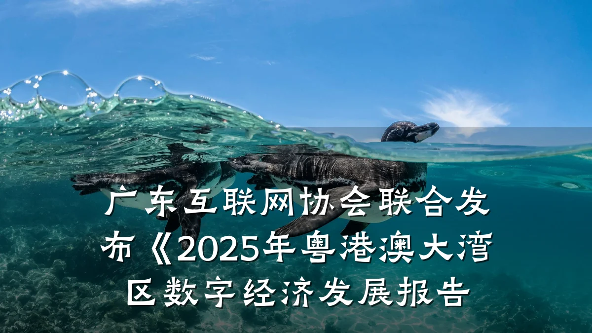 广东互联网协会联合发布《2025年粤港澳大湾区数字经济发展报告