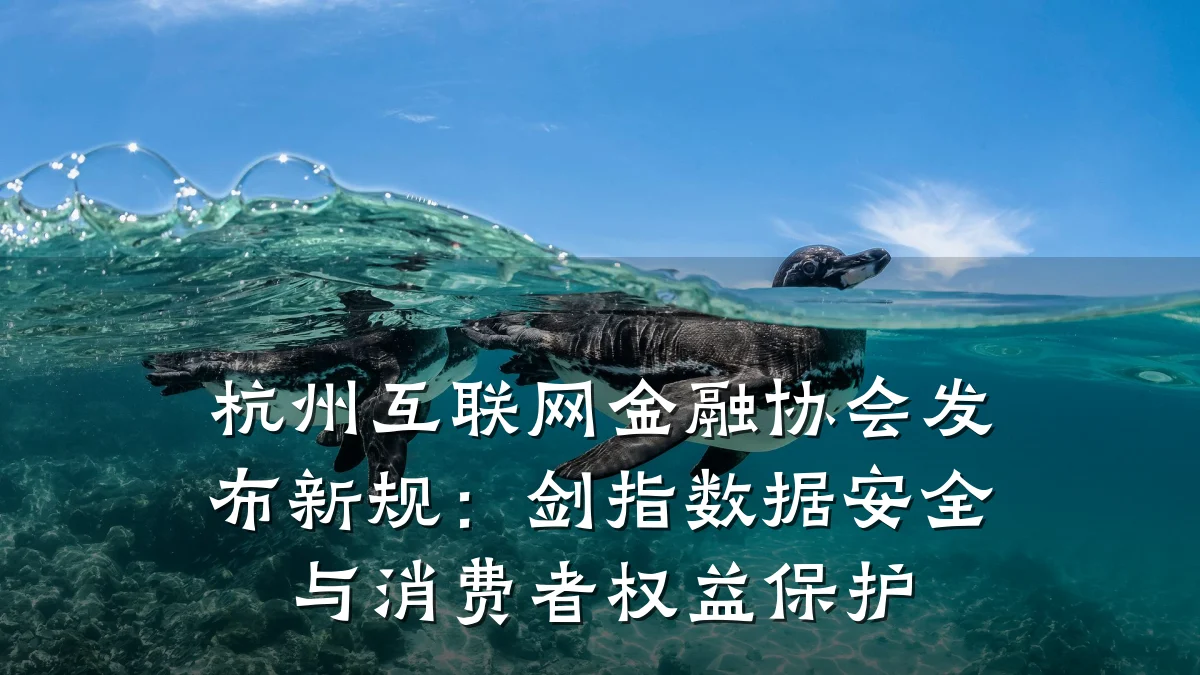 杭州互联网金融协会发布新规:剑指数据安全与消费者权益保护