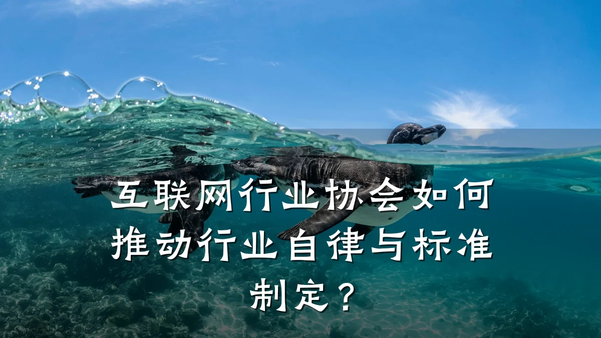 互联网行业协会如何推动行业自律与标准制定？