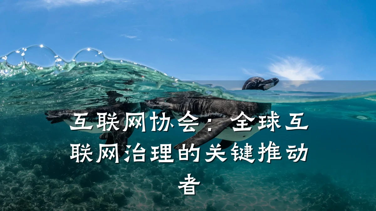 互联网协会:全球互联网治理的关键推动者