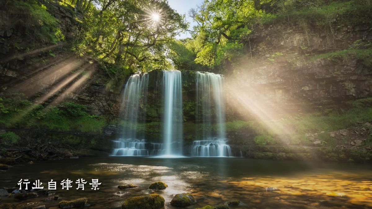 行业自律背景