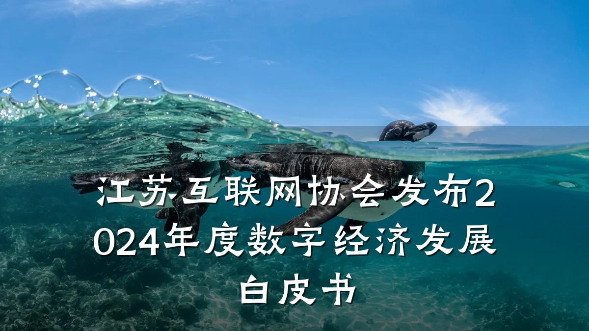 江苏互联网协会发布2024年度数字经济发展白皮书