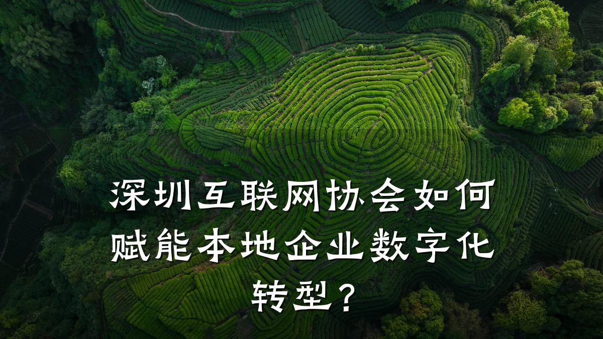 深圳互联网协会如何赋能本地企业数字化转型?