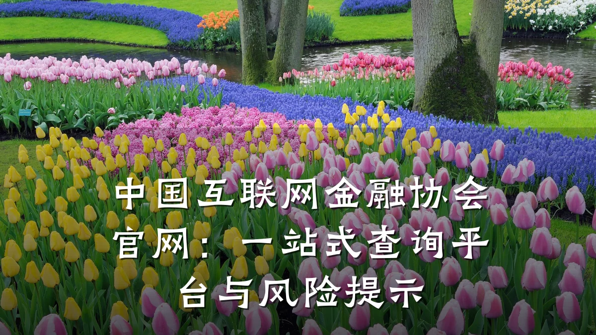 中国互联网金融协会官网:一站式查询平台与风险提示