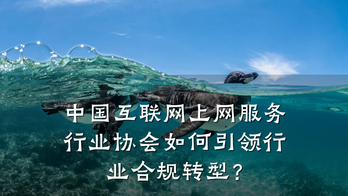 中国互联网上网服务行业协会如何引领行业合规转型?