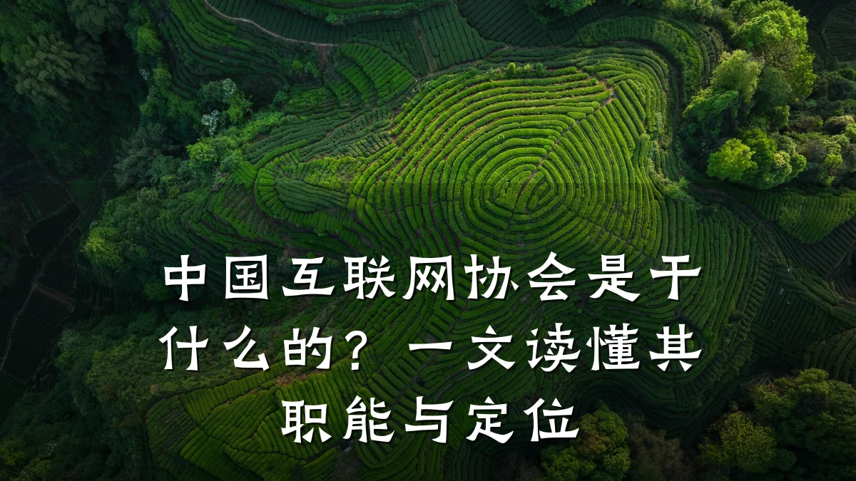 中国互联网协会是干什么的？一文读懂其职能与定位