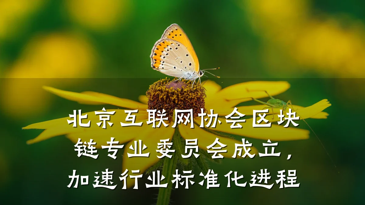 北京互联网协会区块链专业委员会成立,加速行业标准化进程