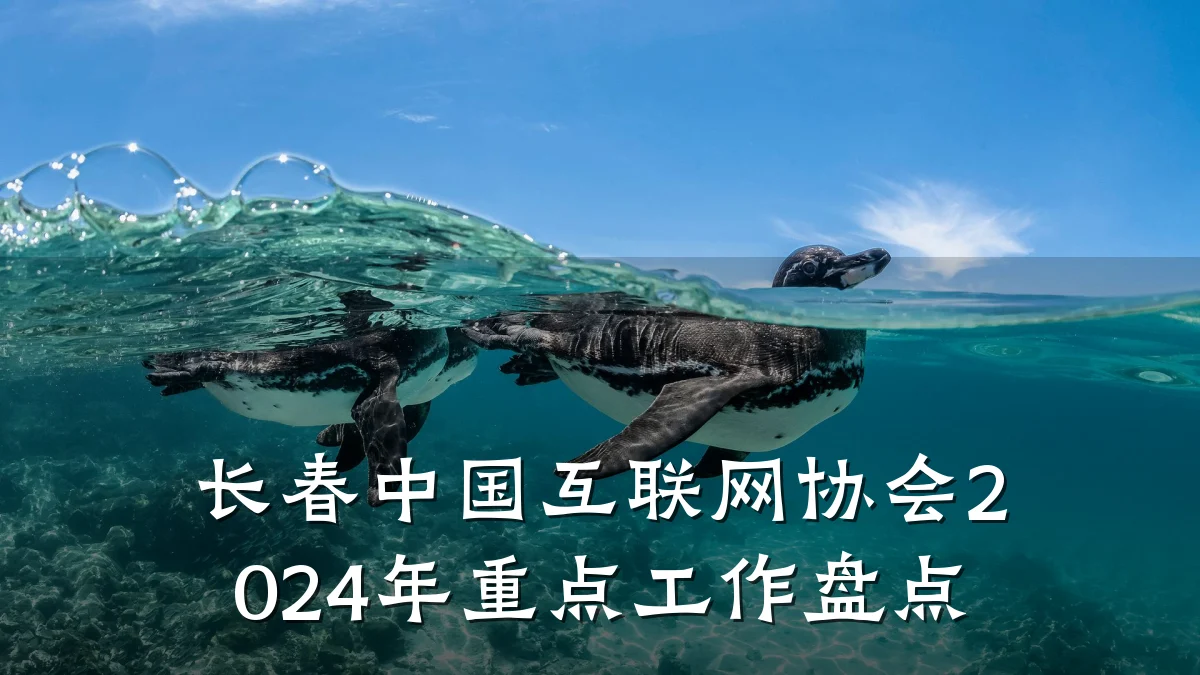 长春中国互联网协会2024年重点工作盘点