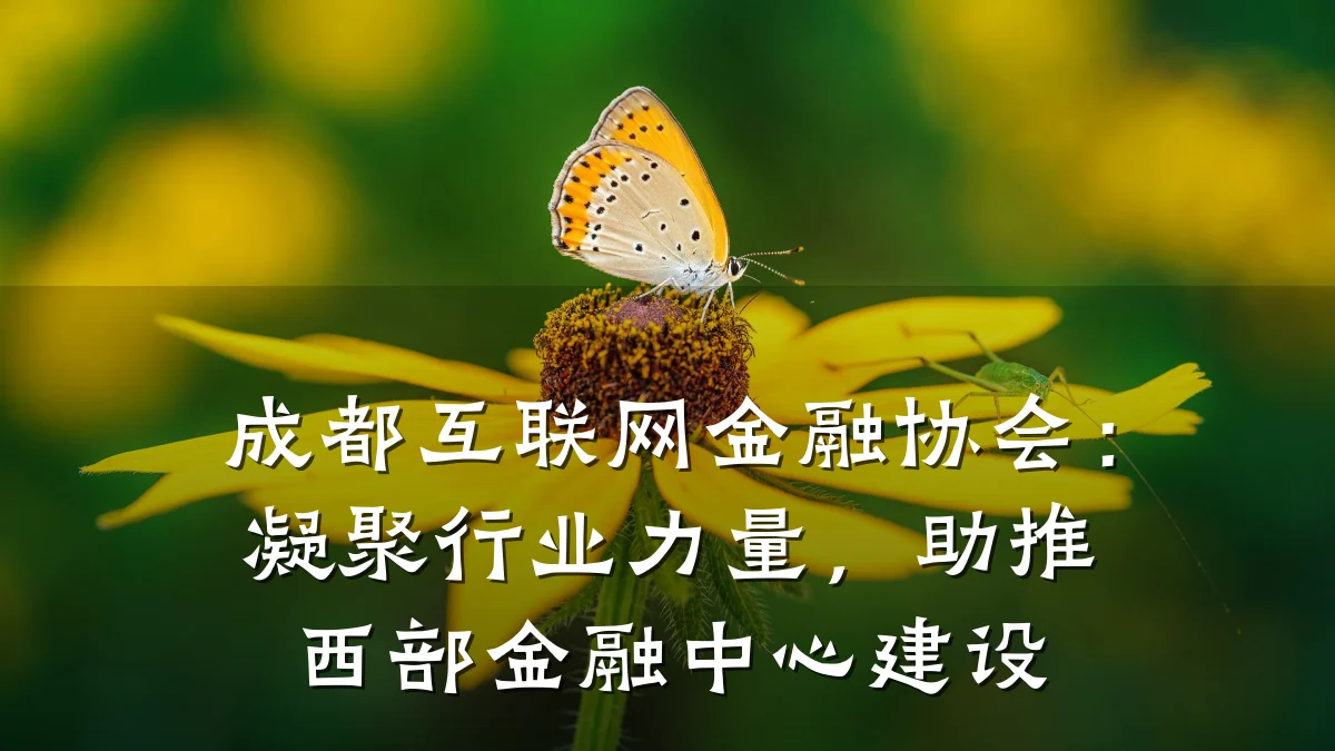 成都互联网金融协会:凝聚行业力量,助推西部金融中心建设