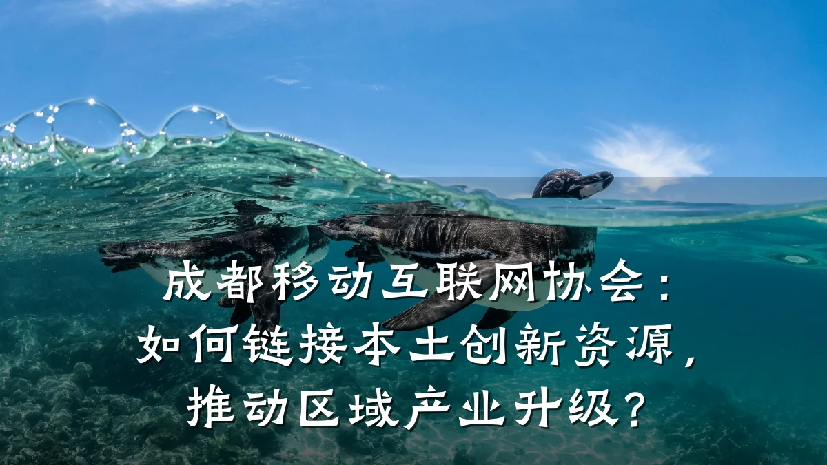 成都移动互联网协会:如何链接本土创新资源,推动区域产业升级?