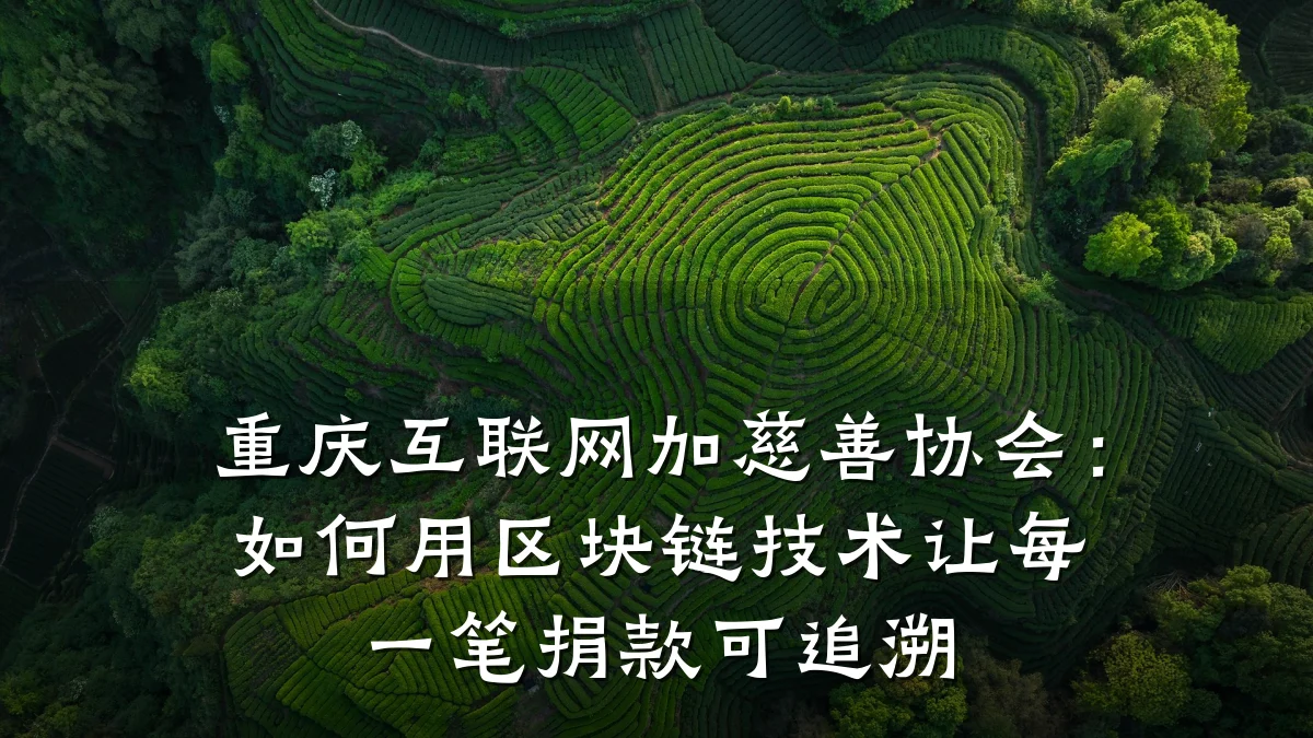 重庆互联网加慈善协会:如何用区块链技术让每一笔捐款可追溯