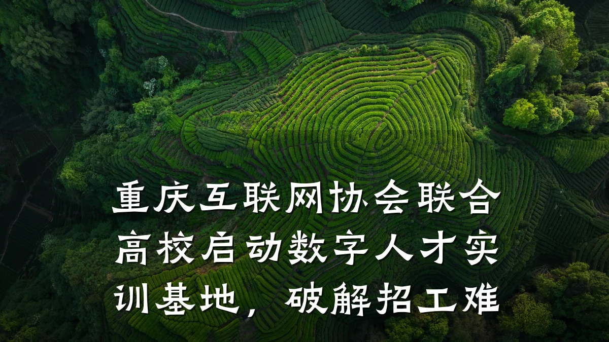 重庆互联网协会联合高校启动数字人才实训基地，破解招工难