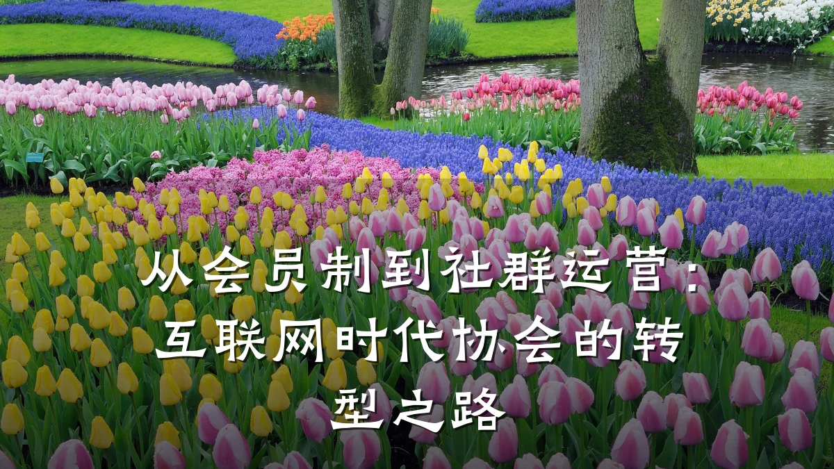 从会员制到社群运营:互联网时代协会的转型之路