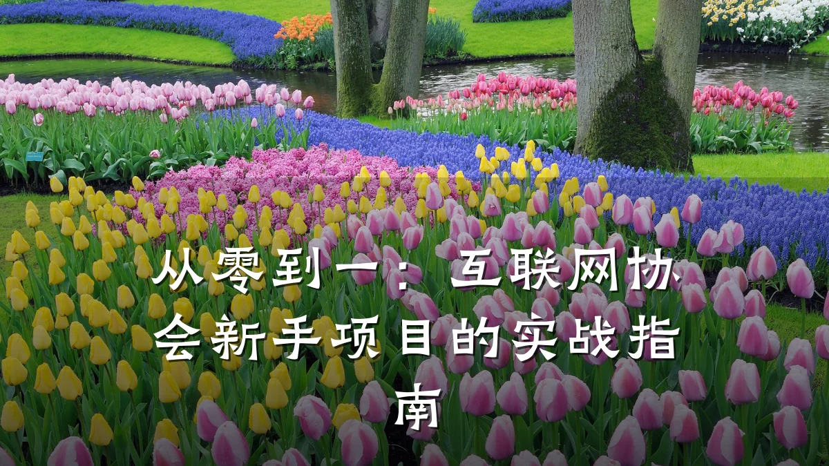 从零到一:互联网协会新手项目的实战指南