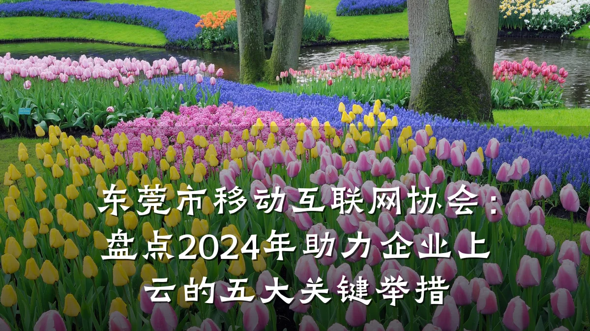 东莞市移动互联网协会:盘点2024年助力企业上云的五大关键举措