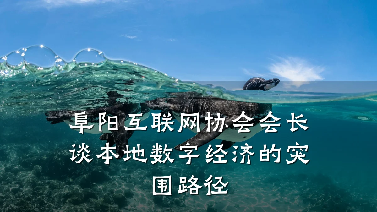 阜阳互联网协会会长谈本地数字经济的突围路径