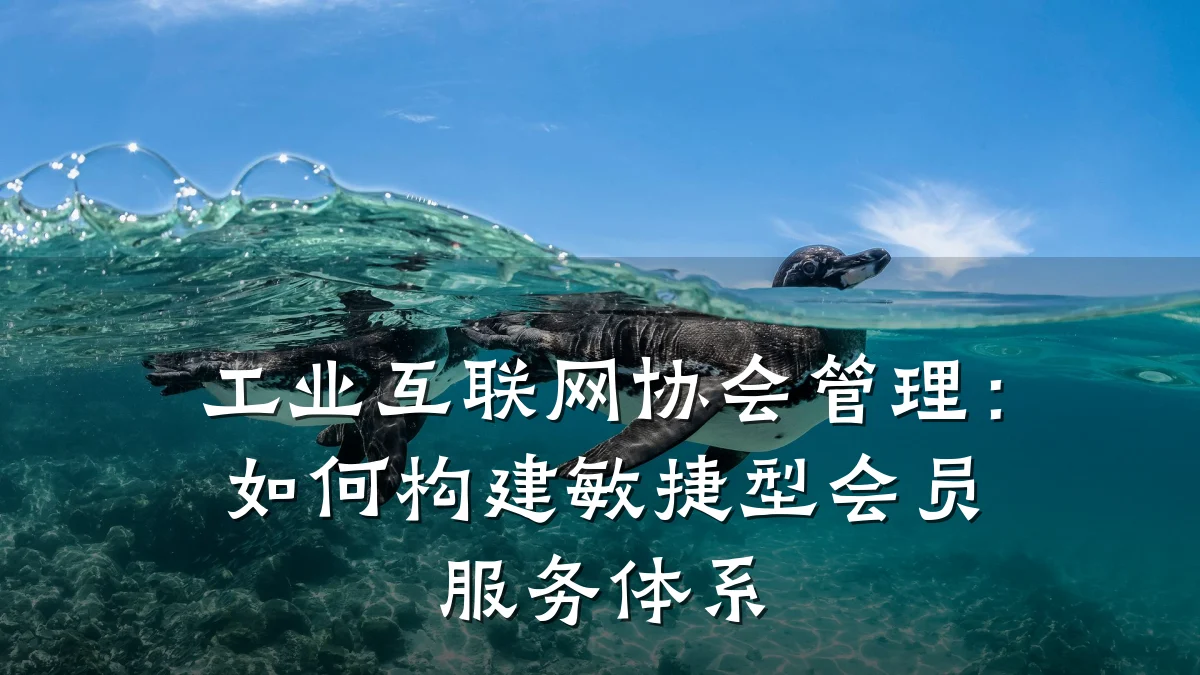 工业互联网协会管理:如何构建敏捷型会员服务体系