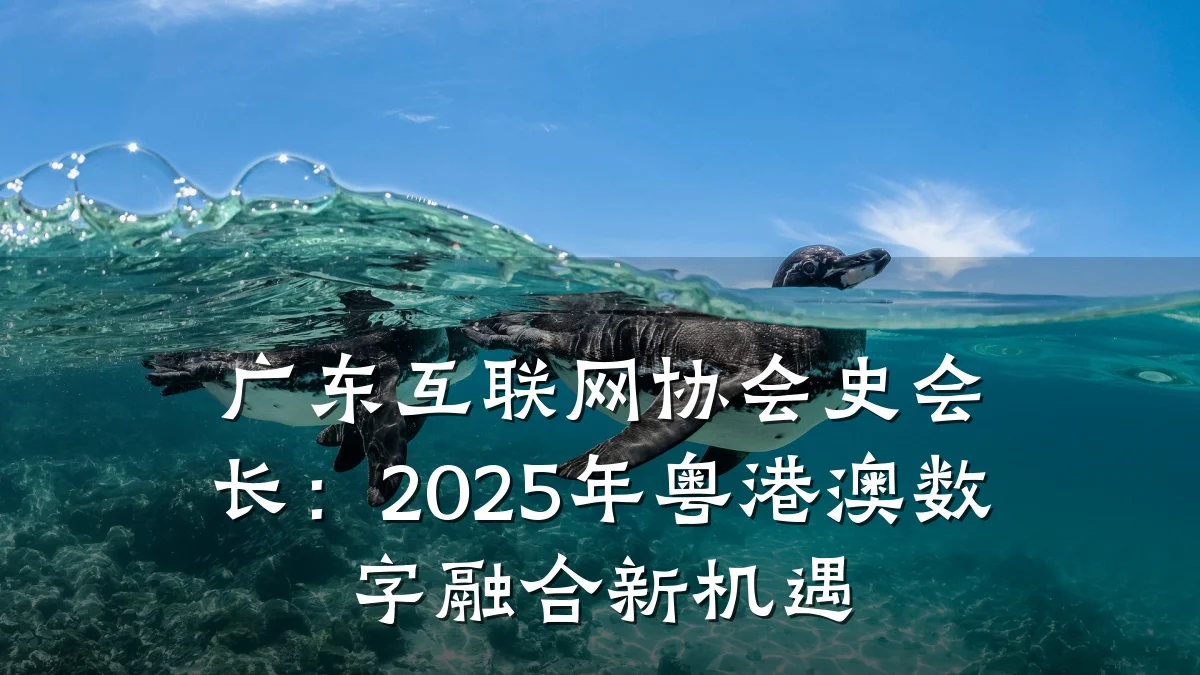 广东互联网协会史会长:2025年粤港澳数字融合新机遇