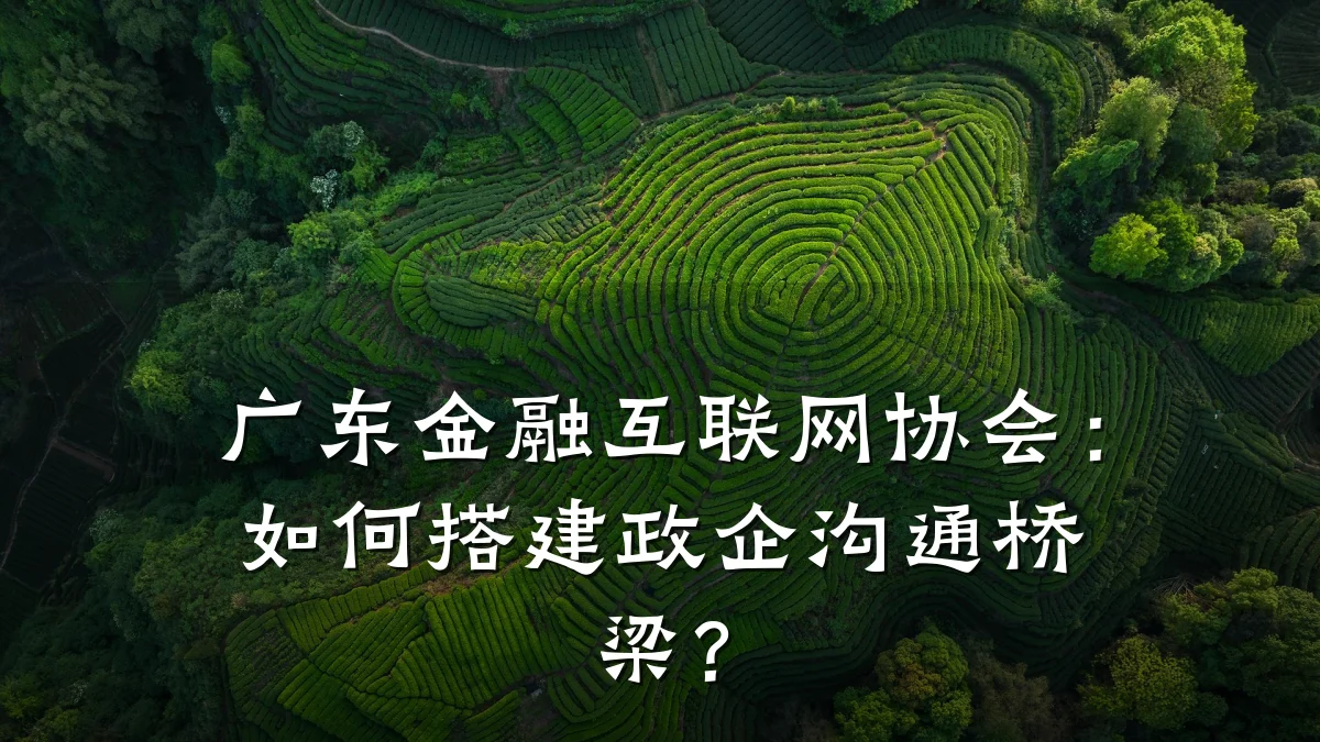广东金融互联网协会:如何搭建政企沟通桥梁?