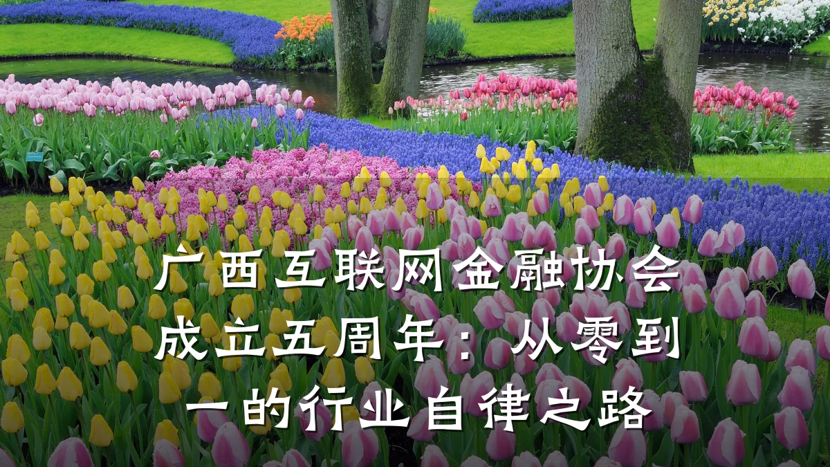 广西互联网金融协会成立五周年:从零到一的行业自律之路