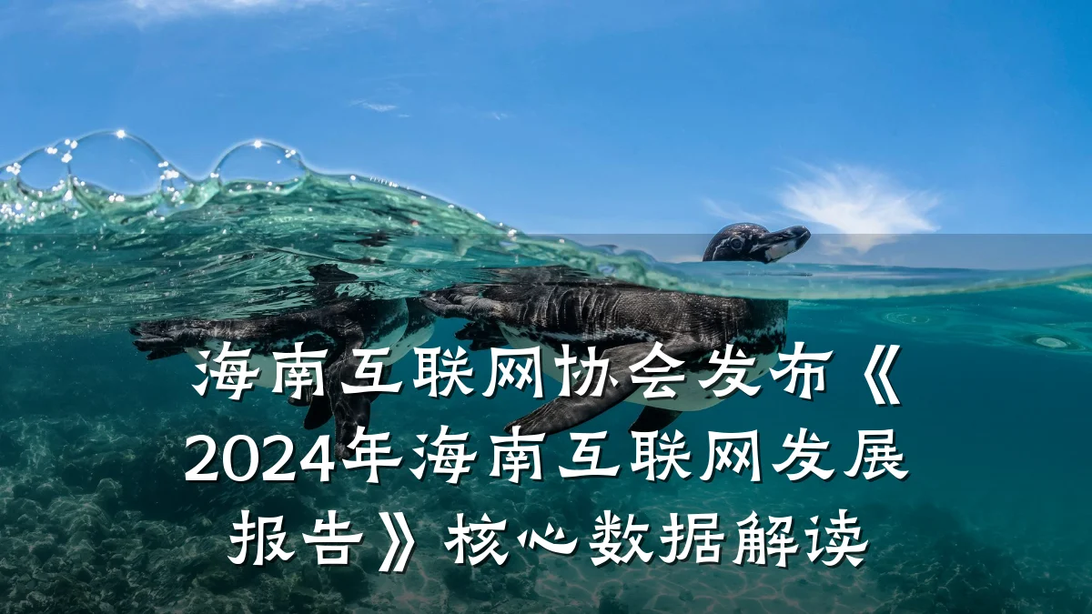 海南互联网协会发布《2024年海南互联网发展报告》核心数据解读