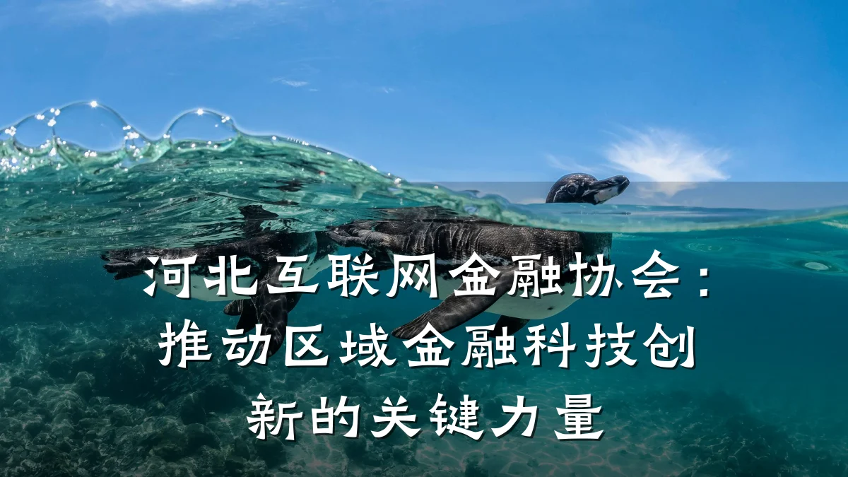 河北互联网金融协会：推动区域金融科技创新的关键力量