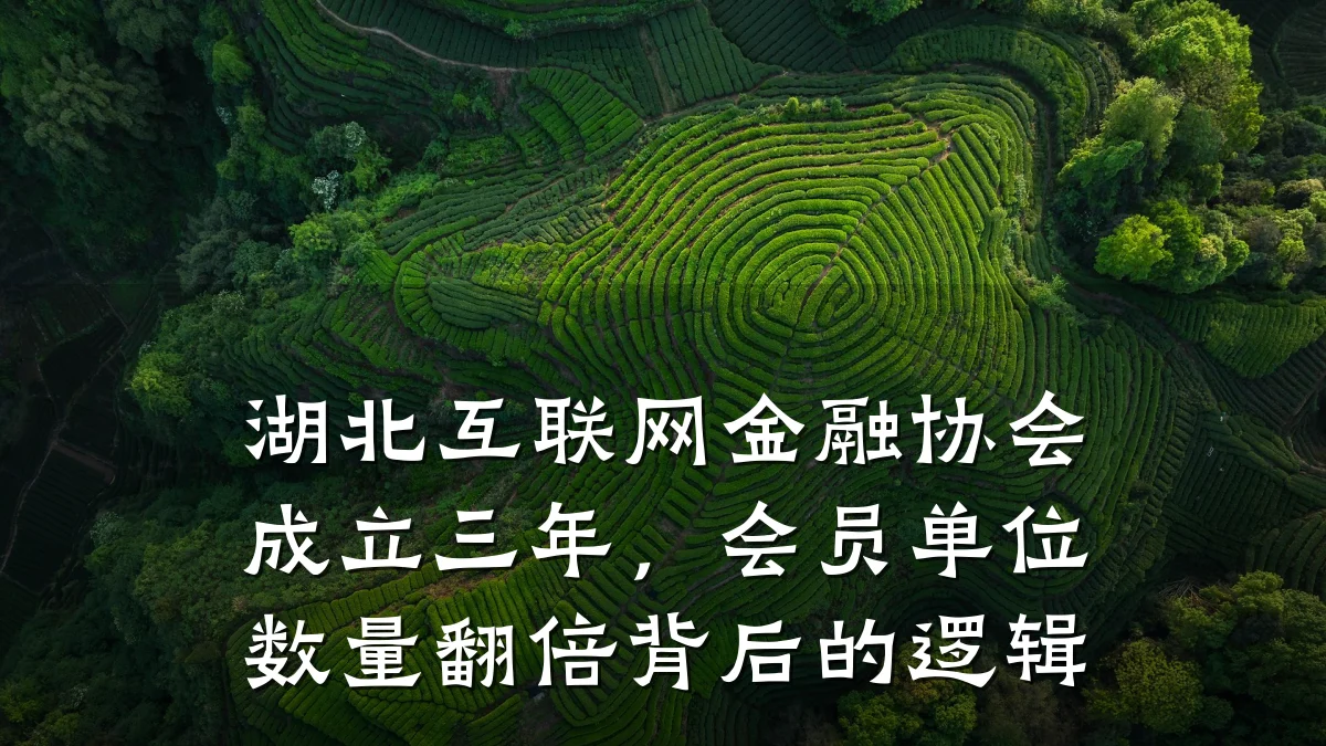 湖北互联网金融协会成立三年,会员单位数量翻倍背后的逻辑
