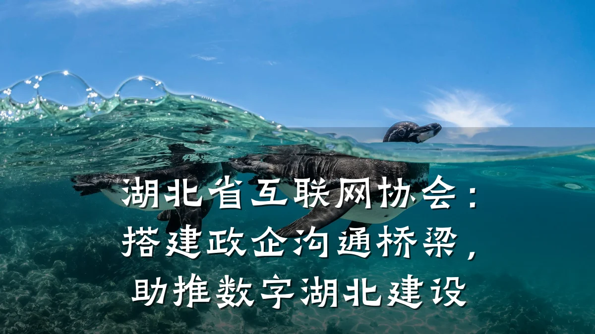 湖北省互联网协会:搭建政企沟通桥梁,助推数字湖北建设