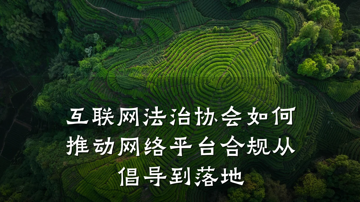 互联网法治协会如何推动网络平台合规从倡导到落地