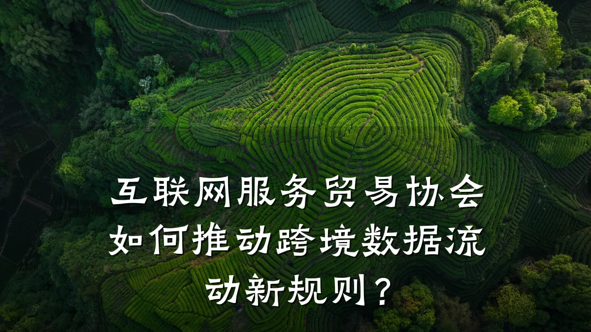 互联网服务贸易协会如何推动跨境数据流动新规则？