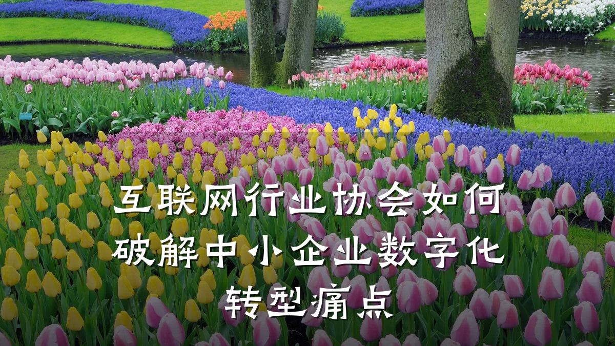互联网行业协会如何破解中小企业数字化转型痛点