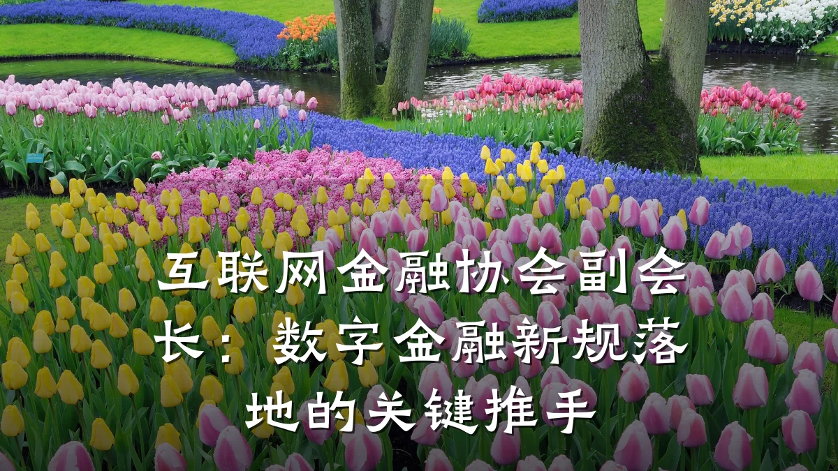 互联网金融协会副会长:数字金融新规落地的关键推手