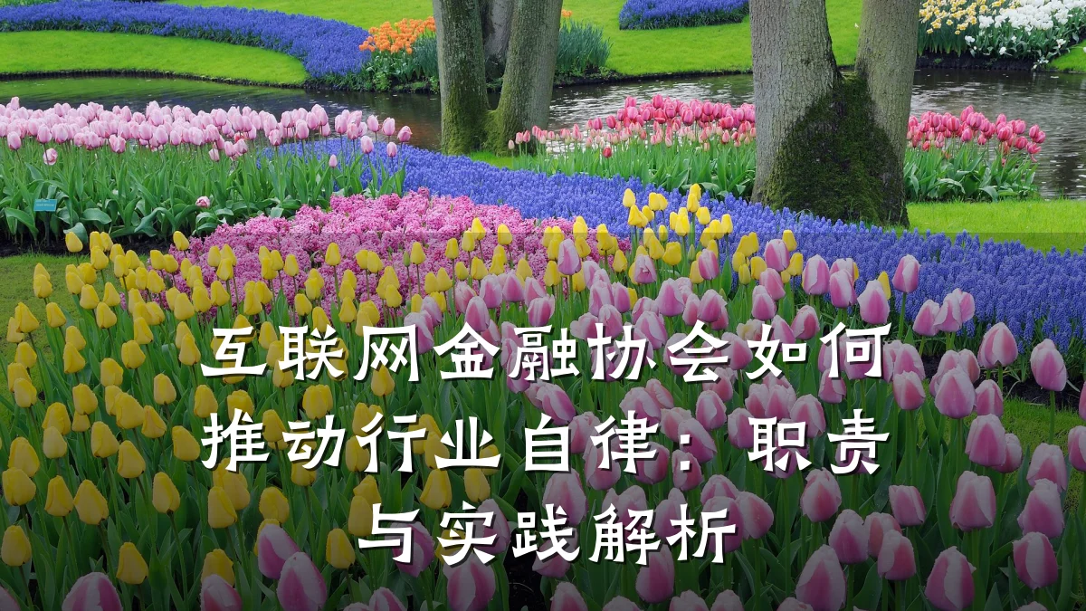 互联网金融协会如何推动行业自律:职责与实践解析