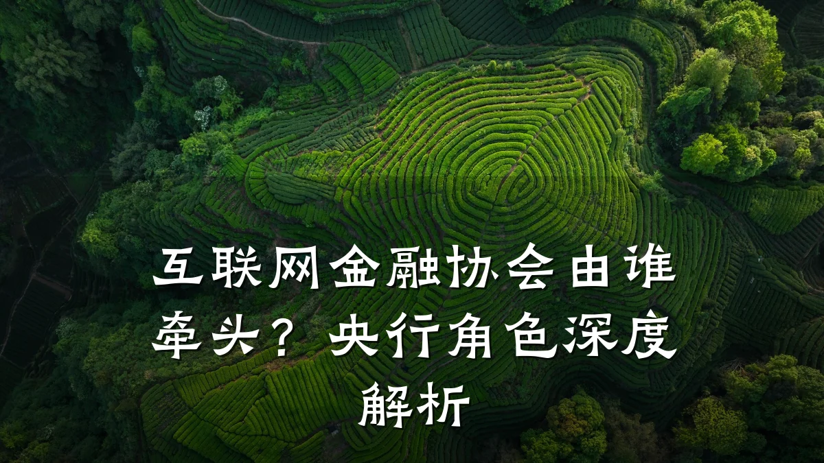 互联网金融协会由谁牵头？央行角色深度解析