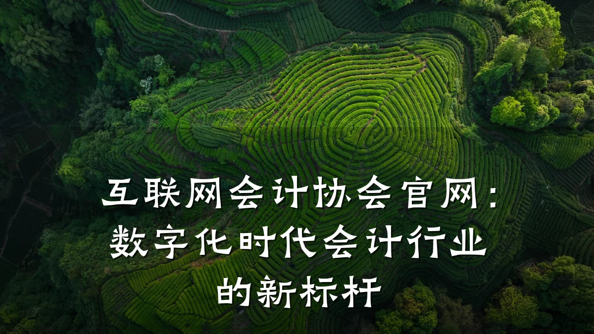 互联网会计协会官网:数字化时代会计行业的新标杆