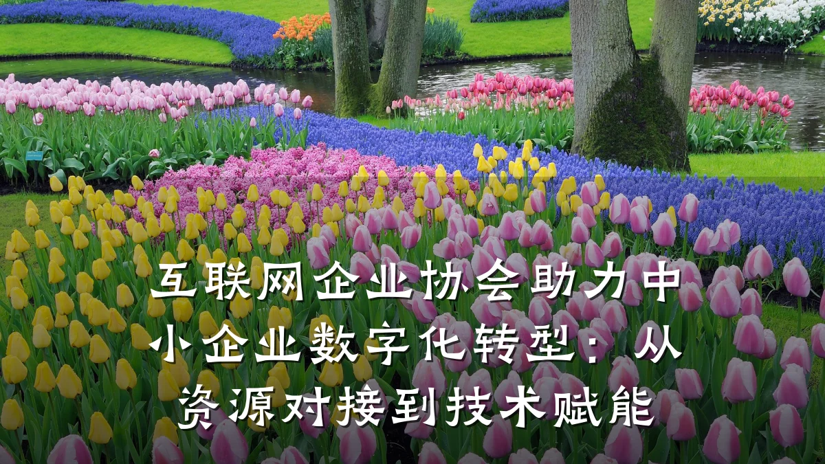 互联网企业协会助力中小企业数字化转型:从资源对接到技术赋能