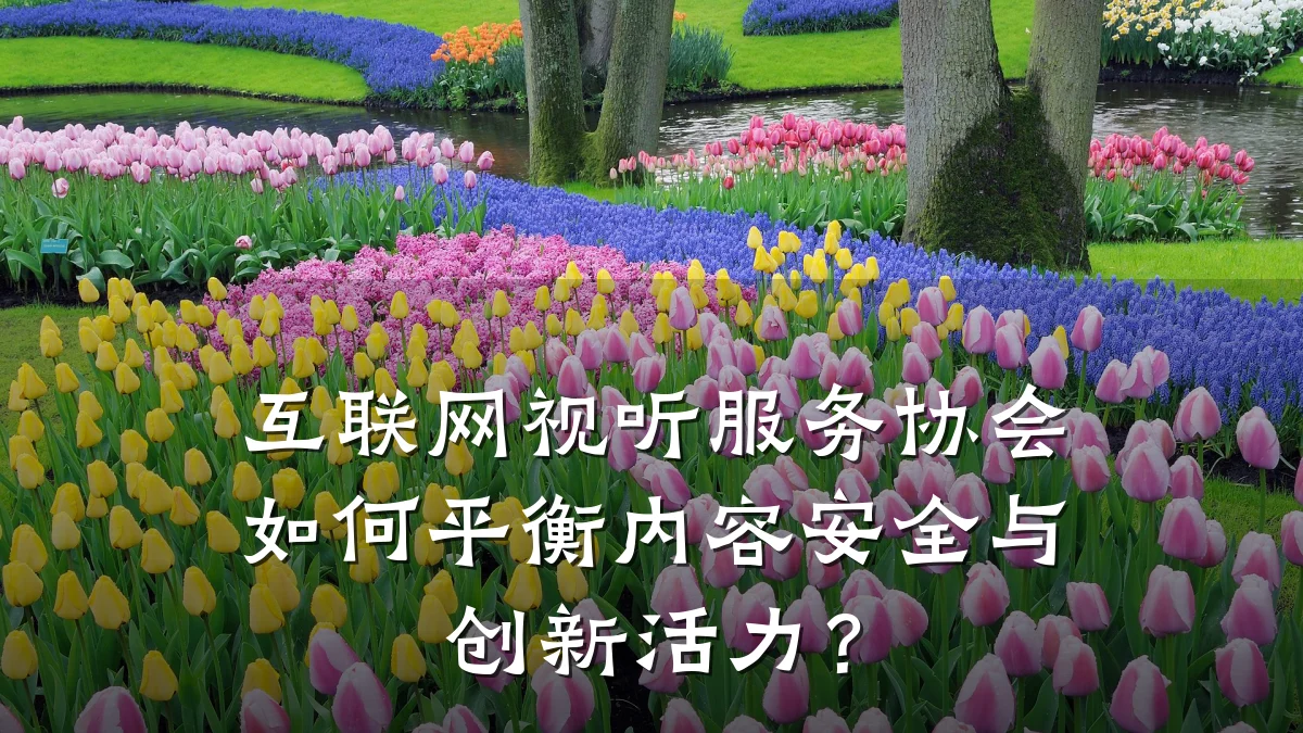 互联网视听服务协会如何平衡内容安全与创新活力?