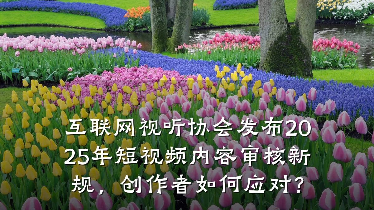 互联网视听协会发布2025年短视频内容审核新规,创作者如何应对?