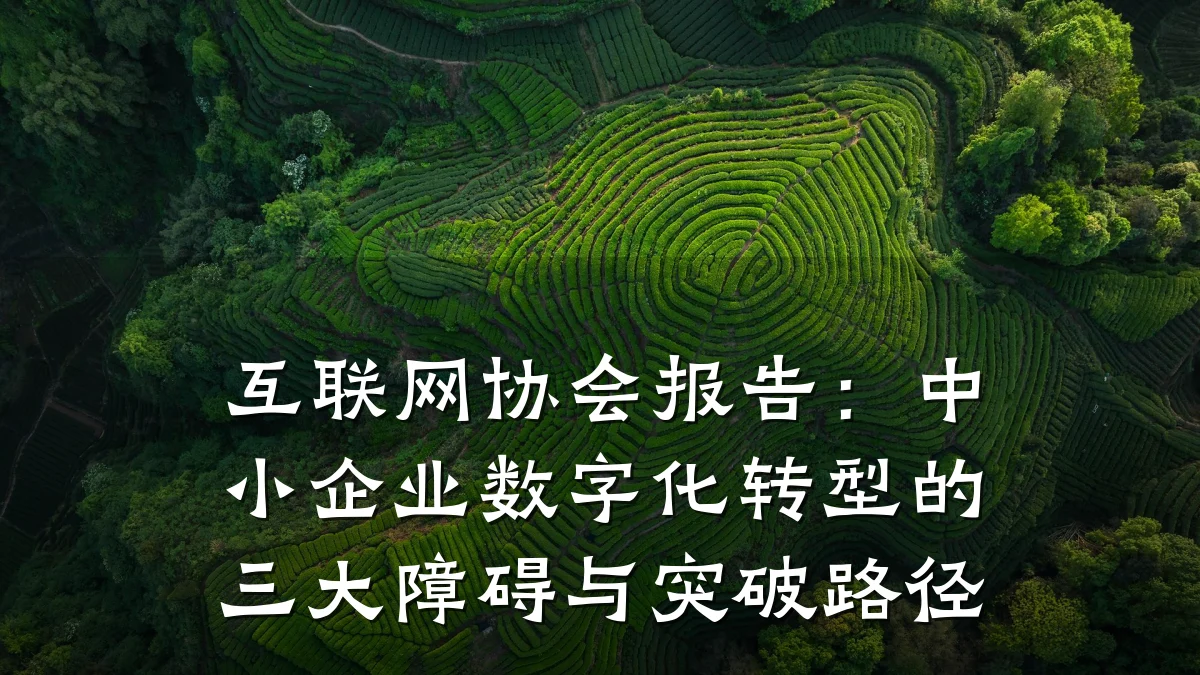 互联网协会报告：中小企业数字化转型的三大障碍与突破路径