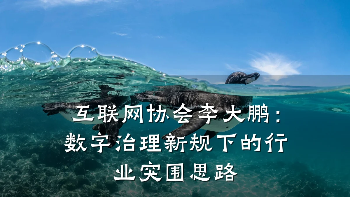 互联网协会李大鹏:数字治理新规下的行业突围思路
