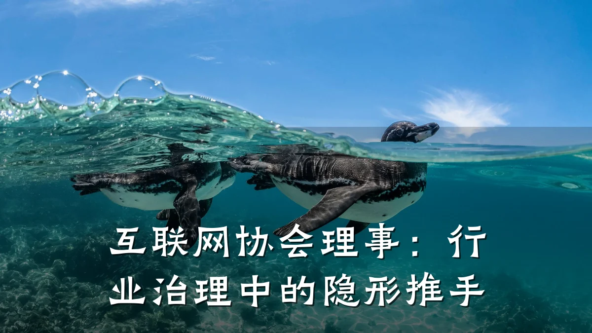 互联网协会理事：行业治理中的隐形推手