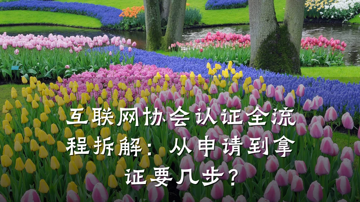 互联网协会认证全流程拆解:从申请到拿证要几步?