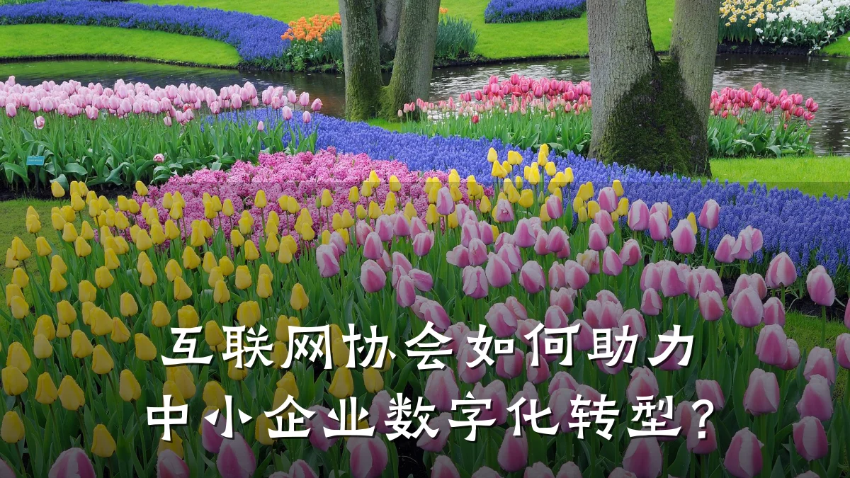 互联网协会如何助力中小企业数字化转型？