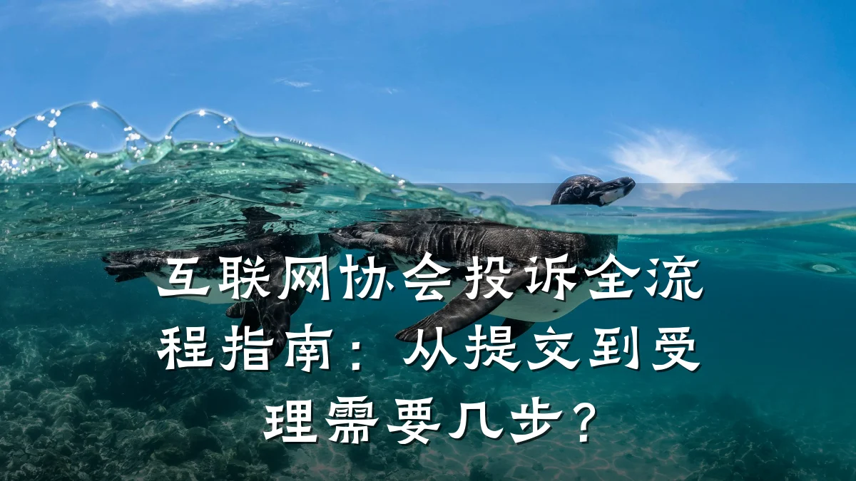互联网协会投诉全流程指南:从提交到受理需要几步?