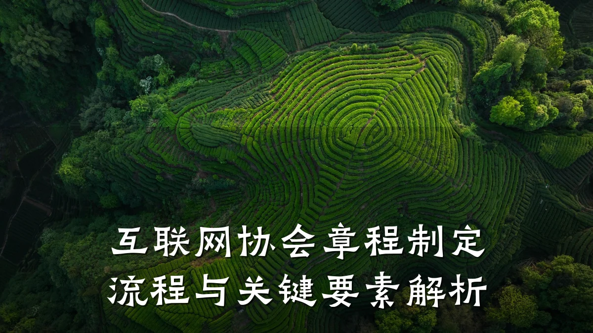 互联网协会章程制定流程与关键要素解析