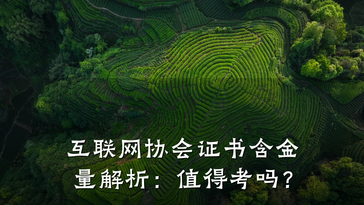 互联网协会证书含金量解析:值得考吗?