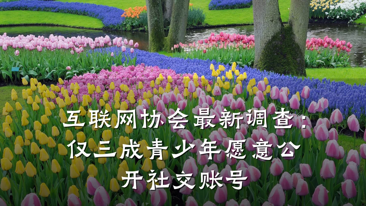 互联网协会最新调查:仅三成青少年愿意公开社交账号